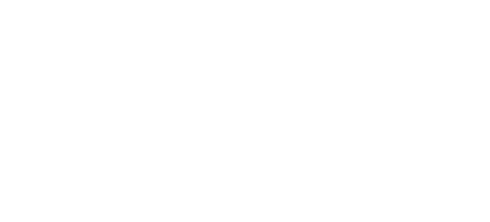 ARIM Holding